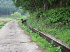 DSCF4276