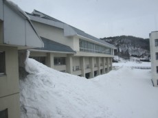 IMG_3881