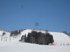 IMG_4021